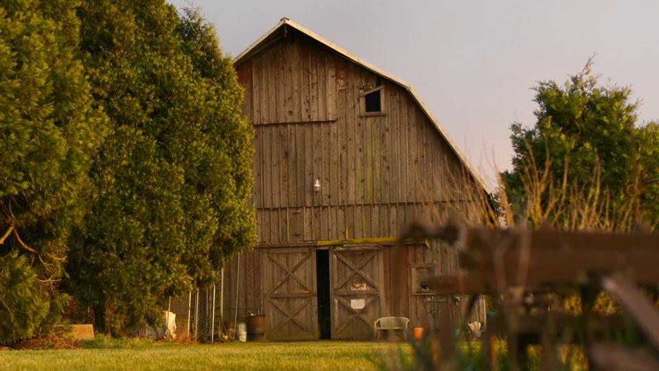 An old wooden barn at golden hour, from Sue's Story.